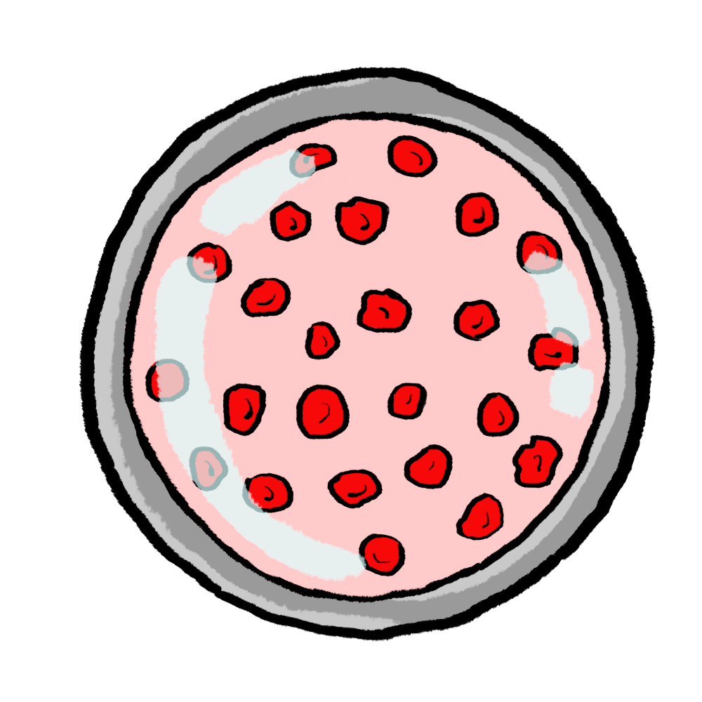 PetitBernat_analisis